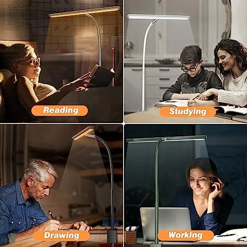 Airlonv LED Desk Lamp for Office Home - Eye-Caring Desk Light with Stepless Dimming Adjustable Flexible Gooseneck, 10W USB Adapter Desk Lamp with
