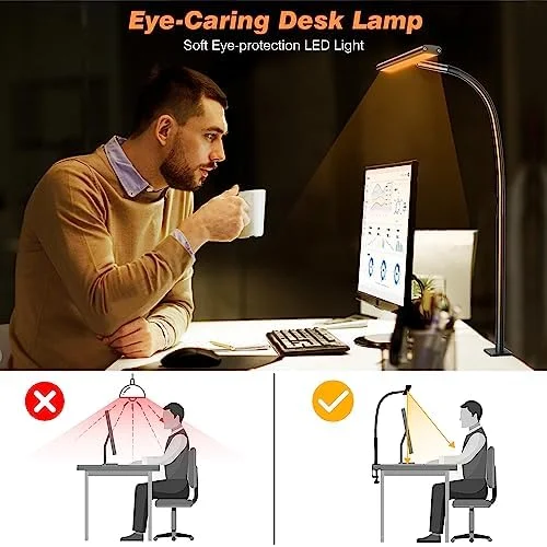 Airlonv LED Desk Lamp for Office Home - Eye-Caring Desk Light with Stepless Dimming Adjustable Flexible Gooseneck, 10W USB Adapter Desk Lamp with